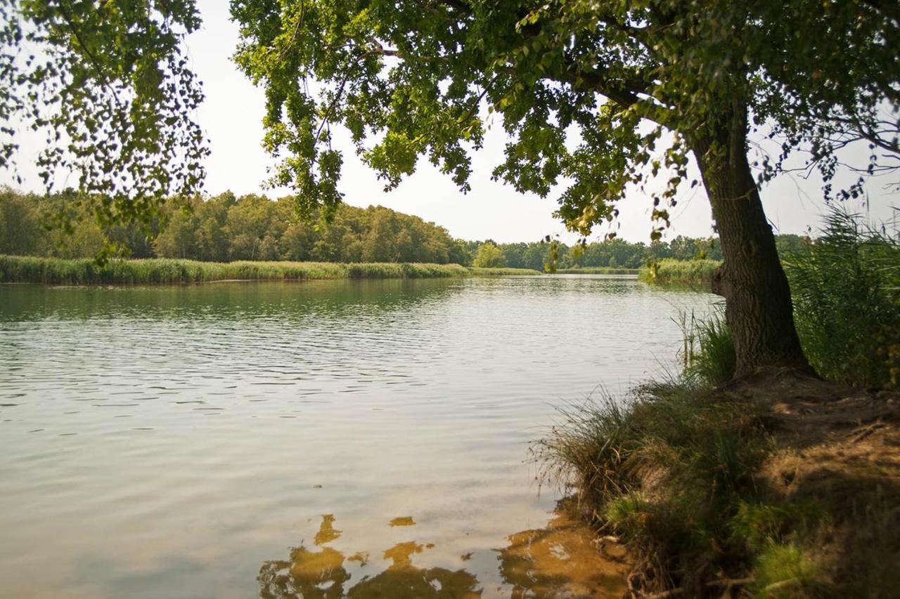 Hospoda-Ferienhaus Am Olba-See Malschwitz Dış mekan fotoğraf